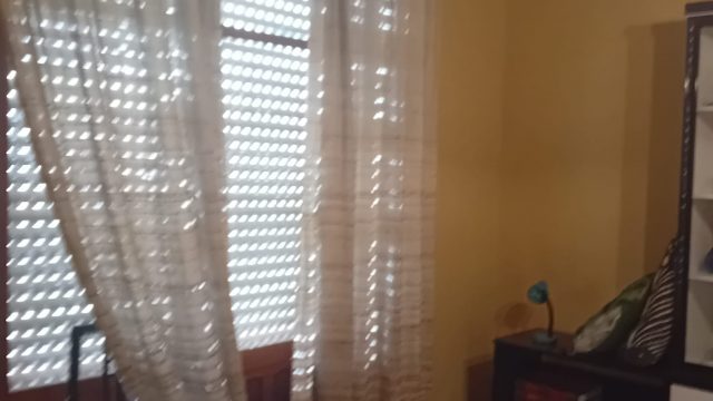 0885e278-33d7-459e-9548-44da6aa1ca83