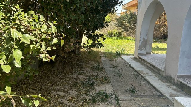 IMG-20250321-WA0009