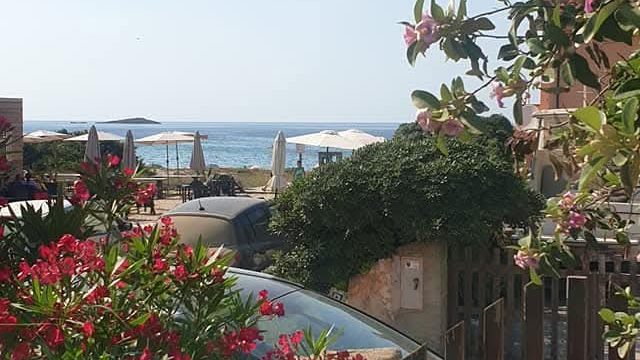 IMG-20250322-WA0003-2
