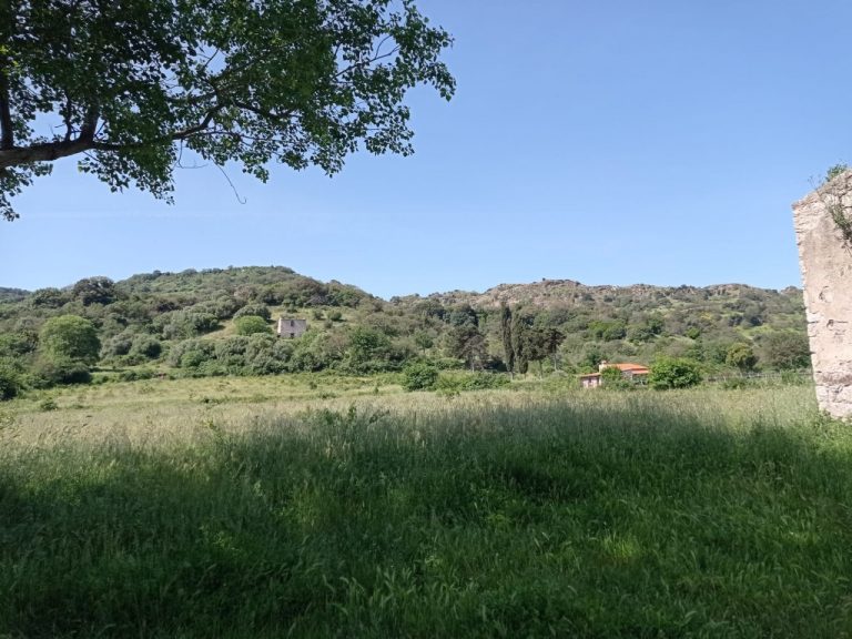 Bonorva, Matta e Padru, azienda agricola