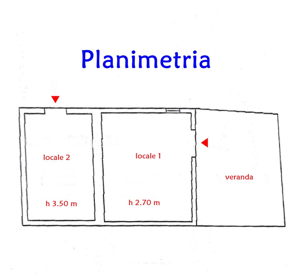 195-Planimetria