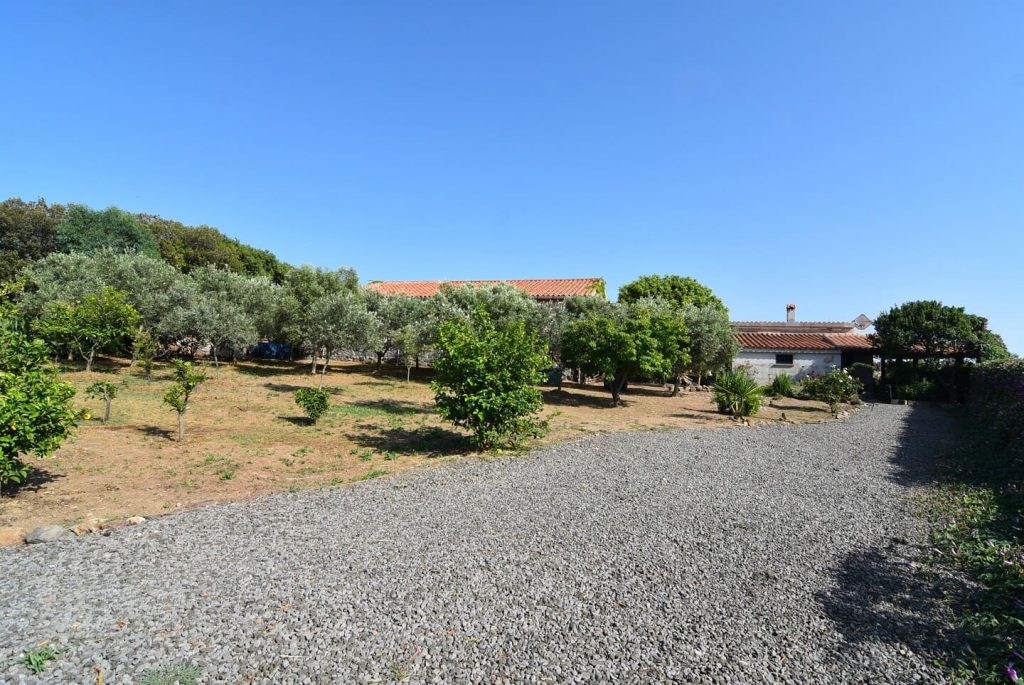 casa-asfodeli-22