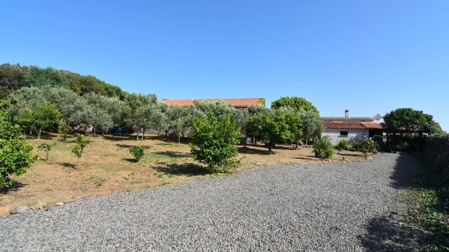 casa-asfodeli-22